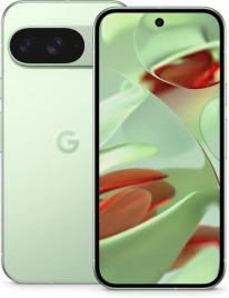 Google Pixel 9 12/128Gb (Wintergreen)