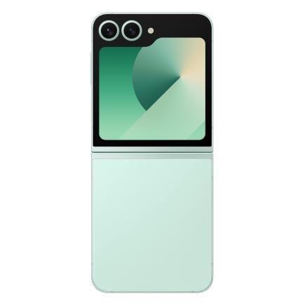 Samsung Galaxy Z Flip 6 12/256Gb (Mint) фото 2