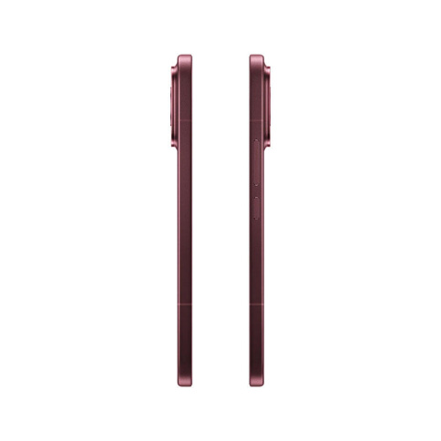 Xiaomi Poco F9 Ultra 16/512Gb (Cherry) фото 4