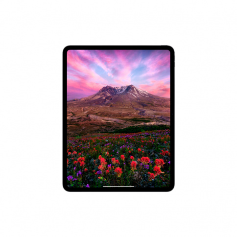 Apple iPad Pro 11 2024 5G 256Gb (Black) фото 15
