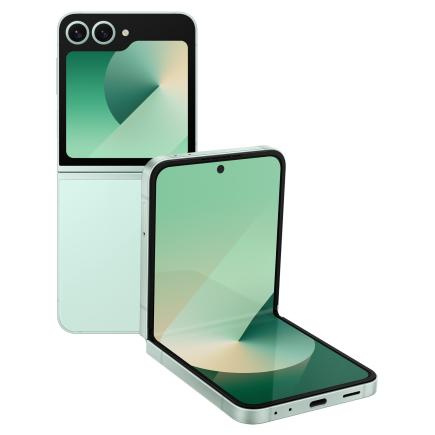 Samsung Galaxy Z Flip 6 12/256Gb (Mint) фото 1