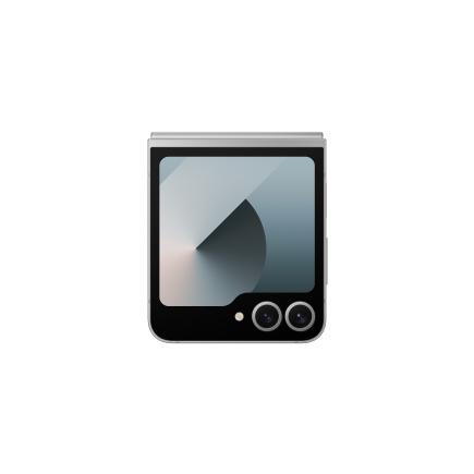 Samsung Galaxy Z Flip 6 12/512Gb (Silver Shadow) фото 6