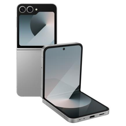 Samsung Galaxy Z Flip 6 12/512Gb (Silver Shadow) фото 1