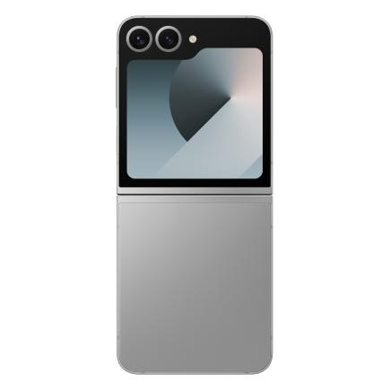 Samsung Galaxy Z Flip 6 12/512Gb (Silver Shadow) фото 2