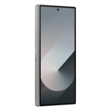 Samsung Galaxy Z Fold 6 12/512Gb (Silver Shadow) фото 6
