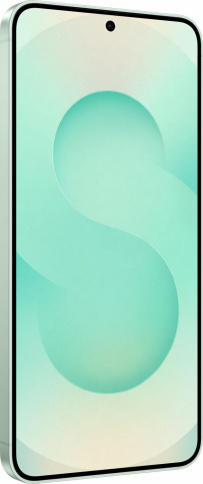 Samsung Galaxy S25 12/256Gb (Mint) фото 3